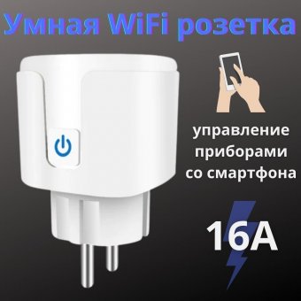 Умная Wi-Fi розетка 1 гнездо,16А ANYSMART